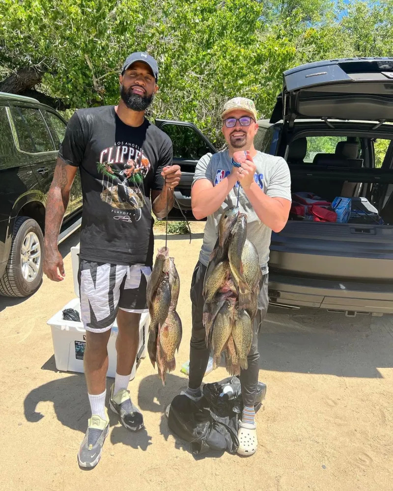 莫比萊依然 莫比萊依然