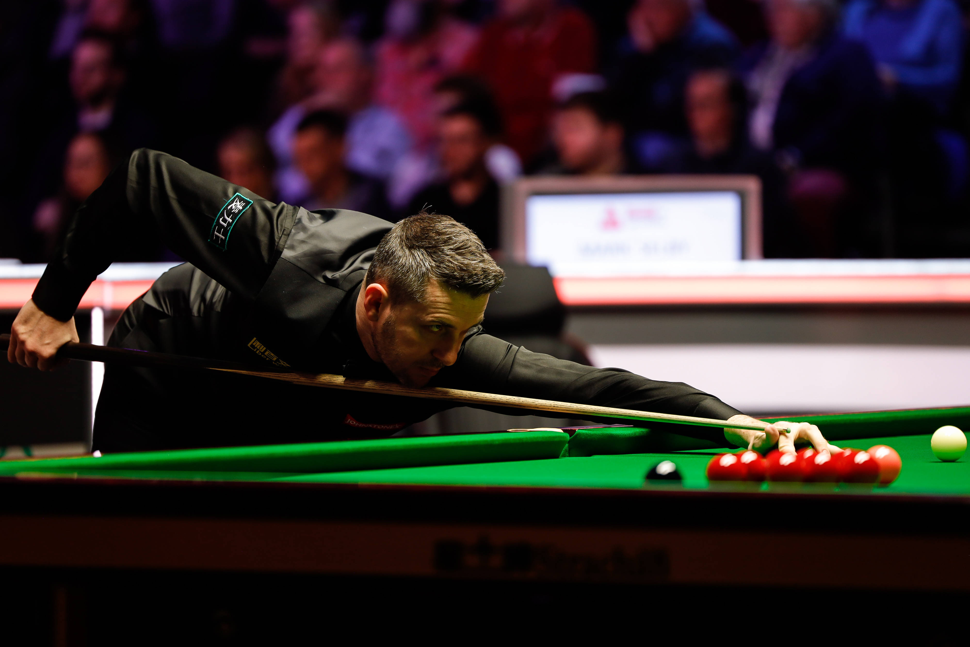 表现可谓可 表现可谓可