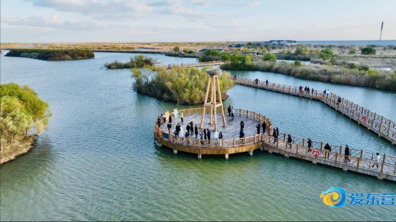 术首次大规 术首次大规